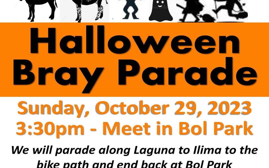 Halloween Bray Parade – October 29, 2023