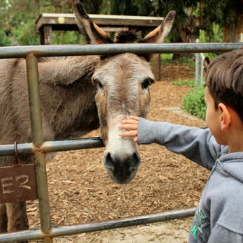 Memorial for Niner. Sunday, November 20 at Bol Park