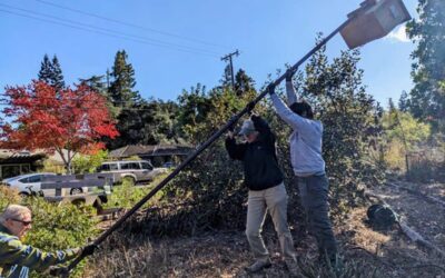 Community Service Thrives in the Bol Park Native Habitat Garden