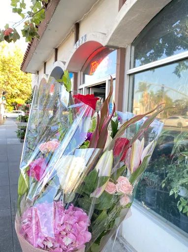 Barron Park Nursery front